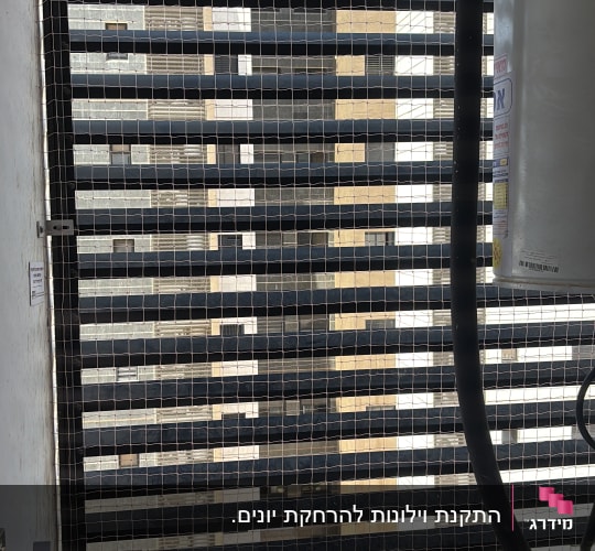 רשת למניעת כניסת יונים על חלון בניין